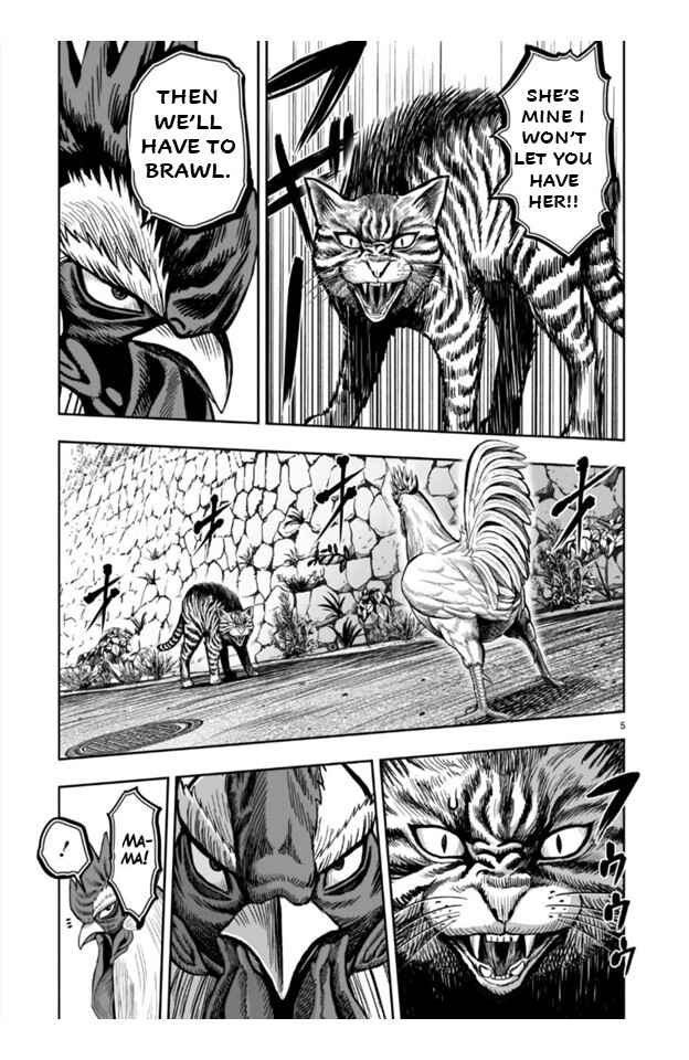 Niwatori Fighter Chapter 9 - Page 5