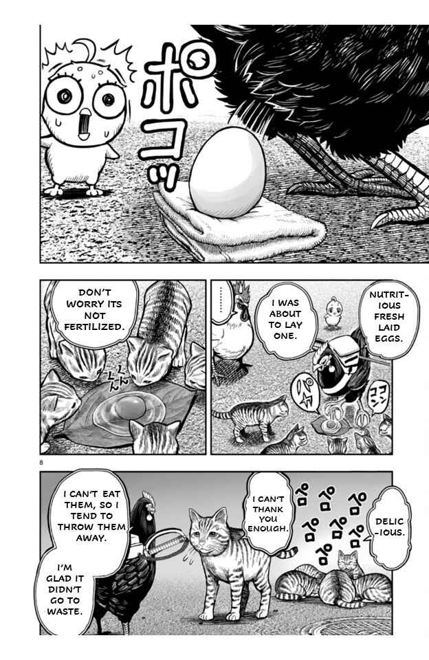 Niwatori Fighter Chapter 9 - Page 8