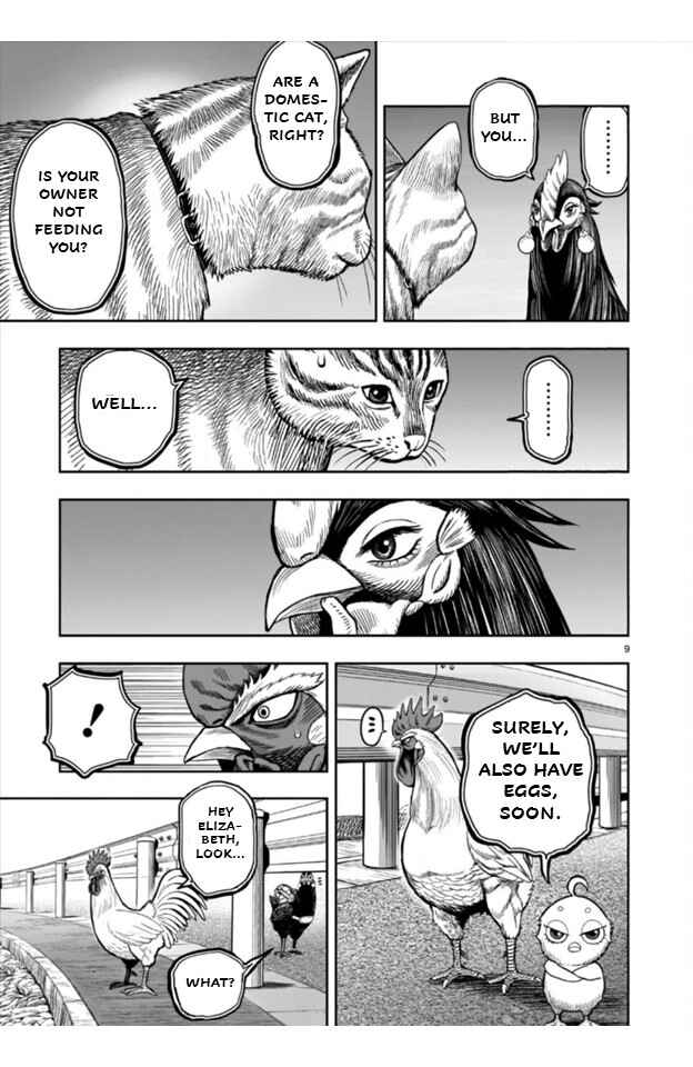 Niwatori Fighter Chapter 9 - Page 9