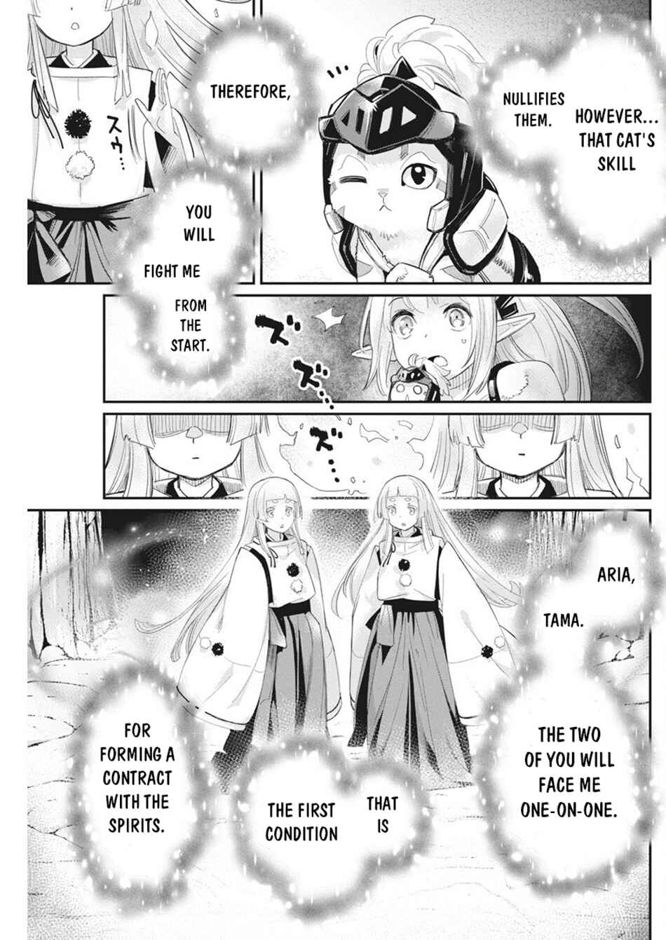 S-Rank Monster no "Behemoth" dakedo, Neko to Machigawarete Elf Musume no Pet to Shite Kurashitemasu Chapter 76 - Page 8