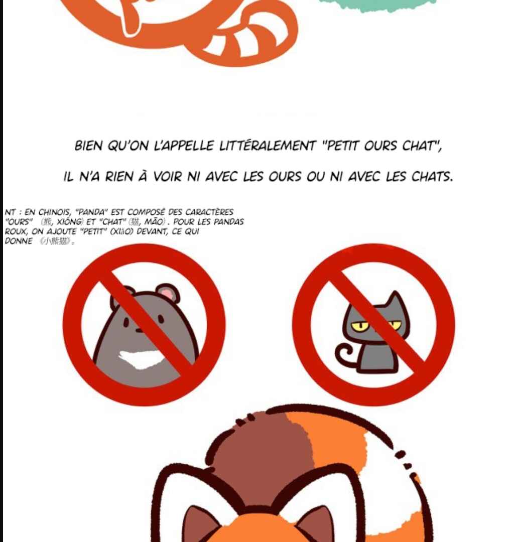 Panda x Red Panda Chapter 3 - Page 16
