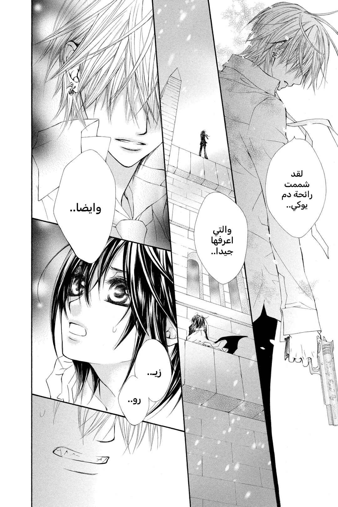Vampire Knight Chapter 35 - Page 21
