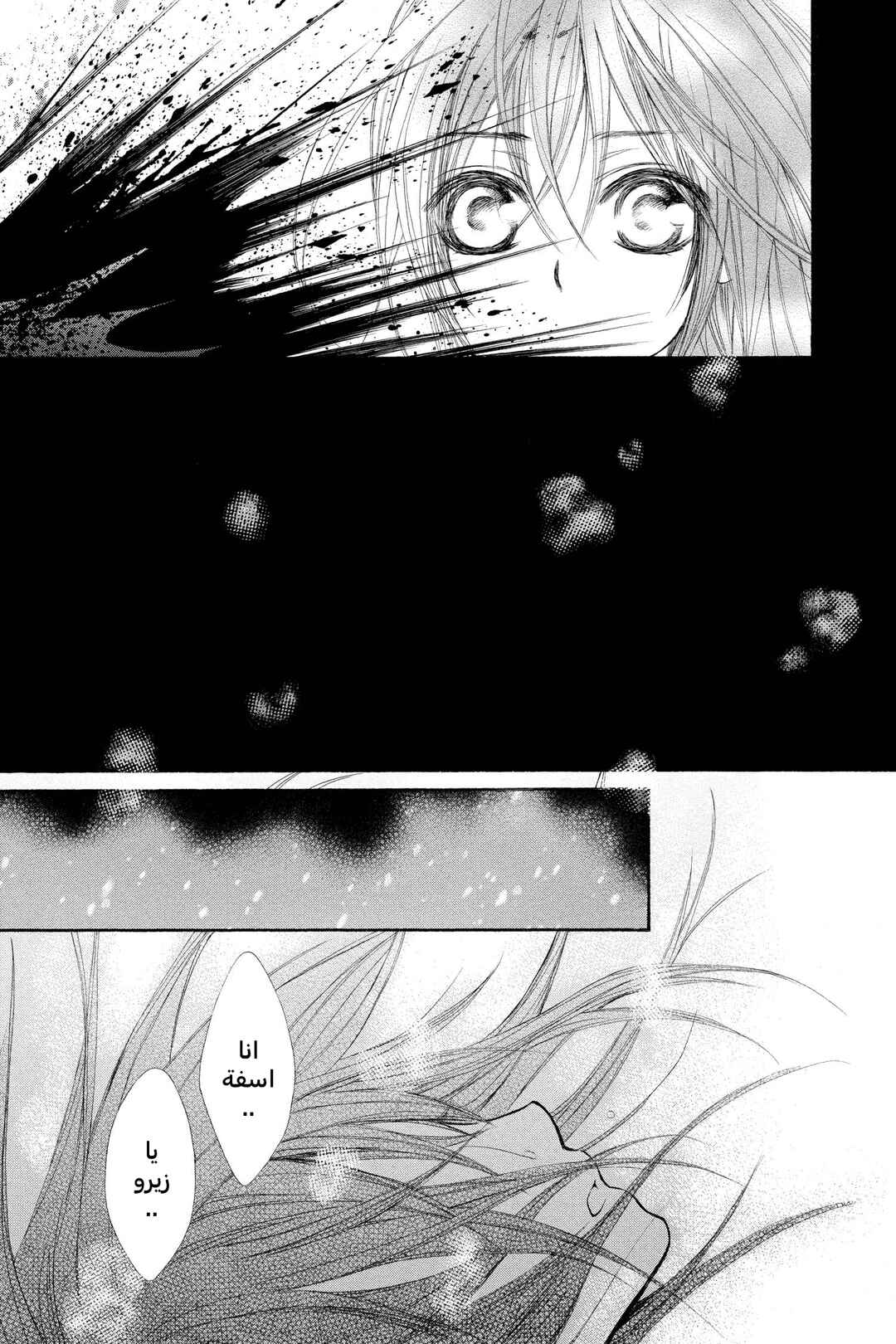 Vampire Knight Chapter 35 - Page 38