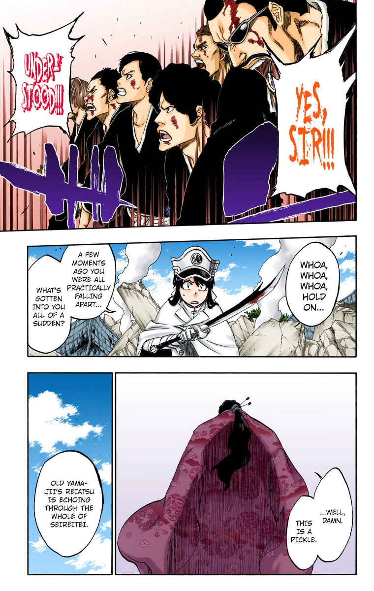 Bleach (Official Colored) Chapter 505 - Page 13