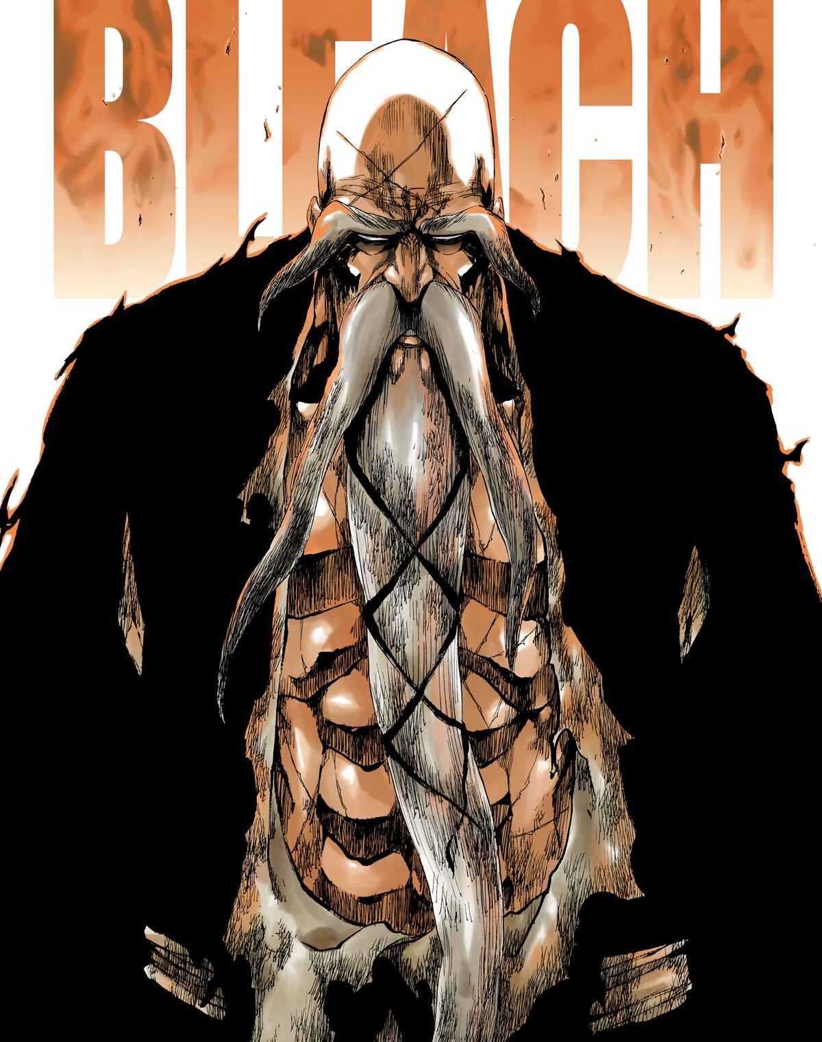 Bleach (Official Colored) Chapter 505 - Page 3