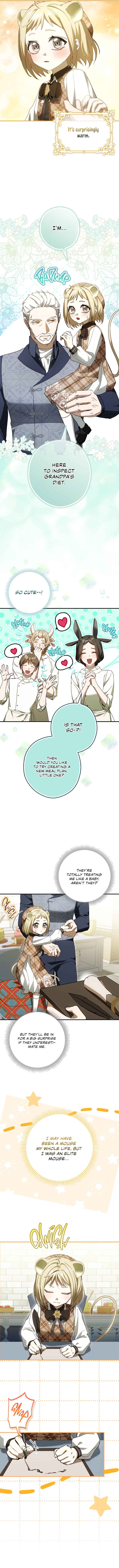 Cinderella's Pocket-Sized Protector Chapter 12 - Page 22