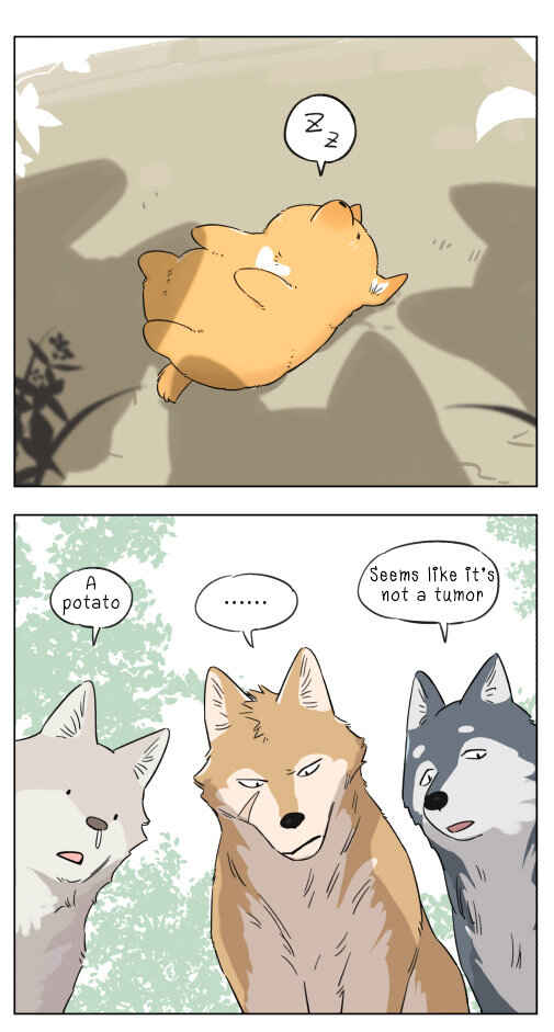 The Wolf That Picked Something Up Chapter 4 - Page 5