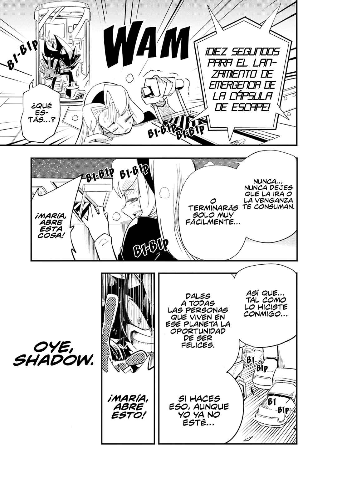 The Jet Black Hedgehog: Shadow the Hedgehog Chapter 2 - Page 10