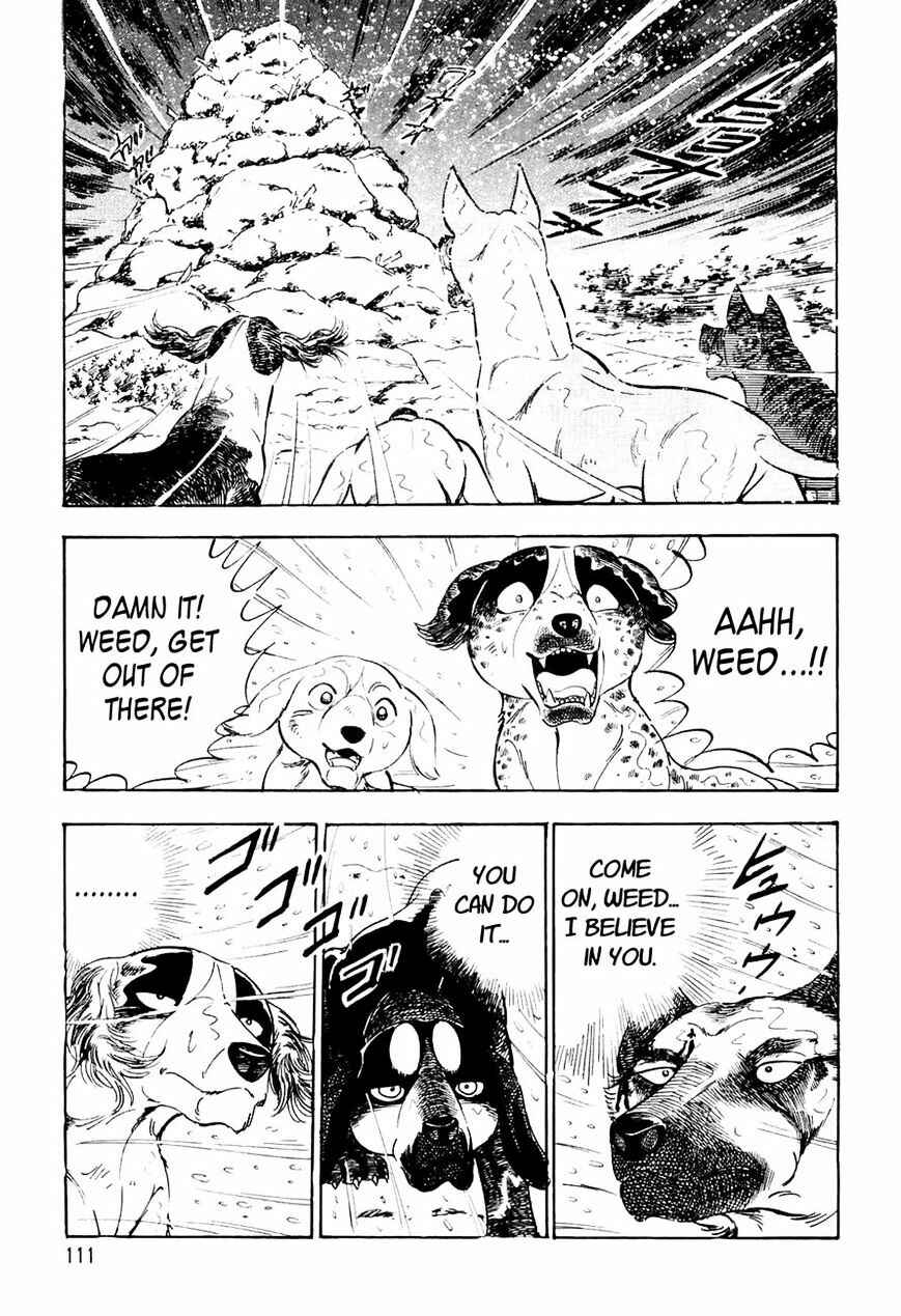 Ginga Densetsu Weed Chapter 35 - Page 22