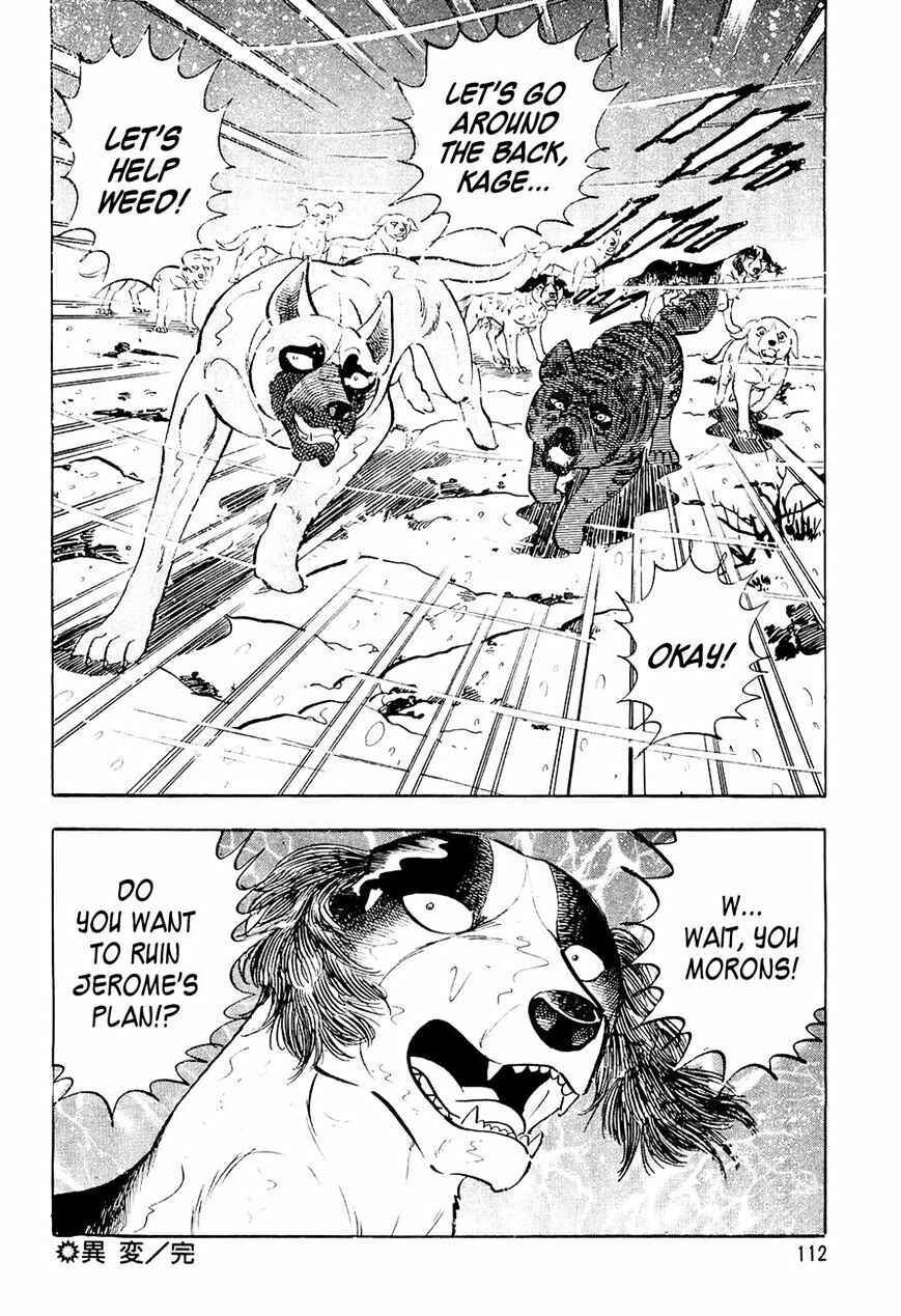 Ginga Densetsu Weed Chapter 35 - Page 23
