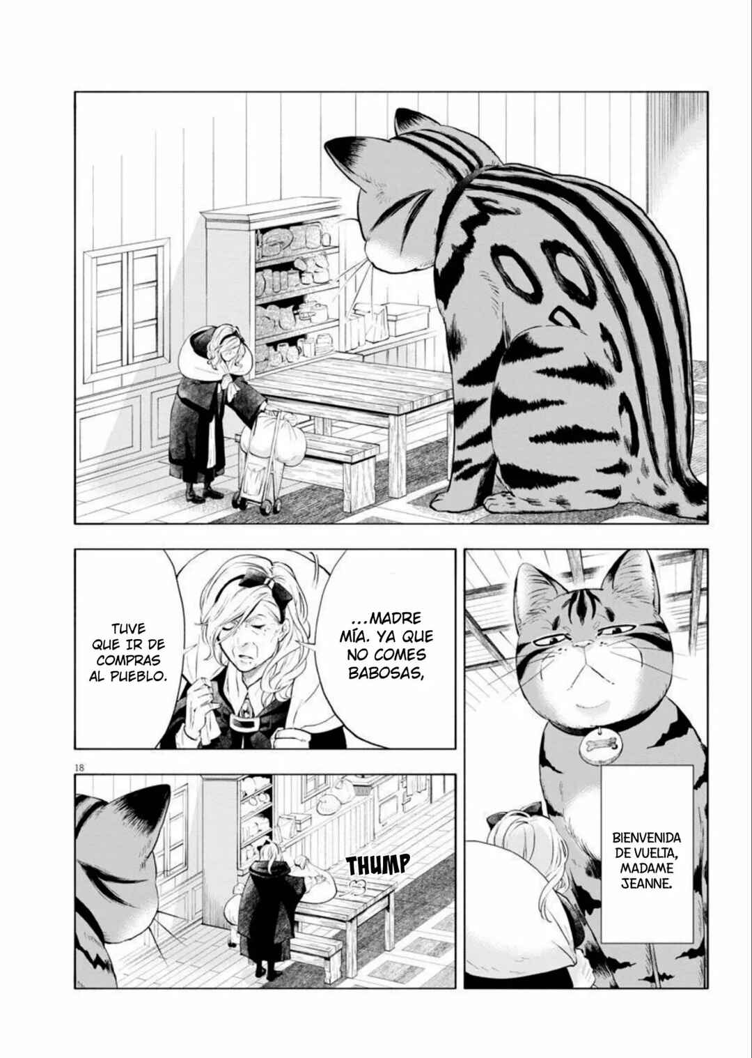 Isekai Neko to Fukigen na Majo Chapter 2 - Page 18