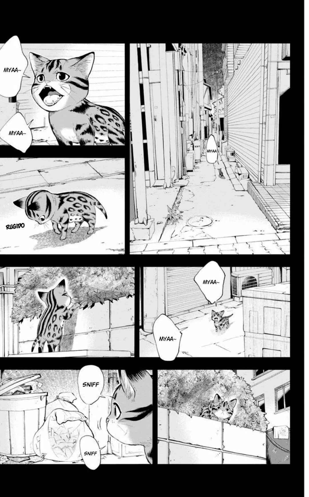 Isekai Neko to Fukigen na Majo Chapter 2 - Page 24