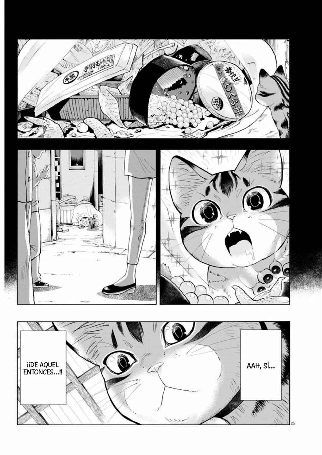 Isekai Neko to Fukigen na Majo Chapter 2 - Page 25