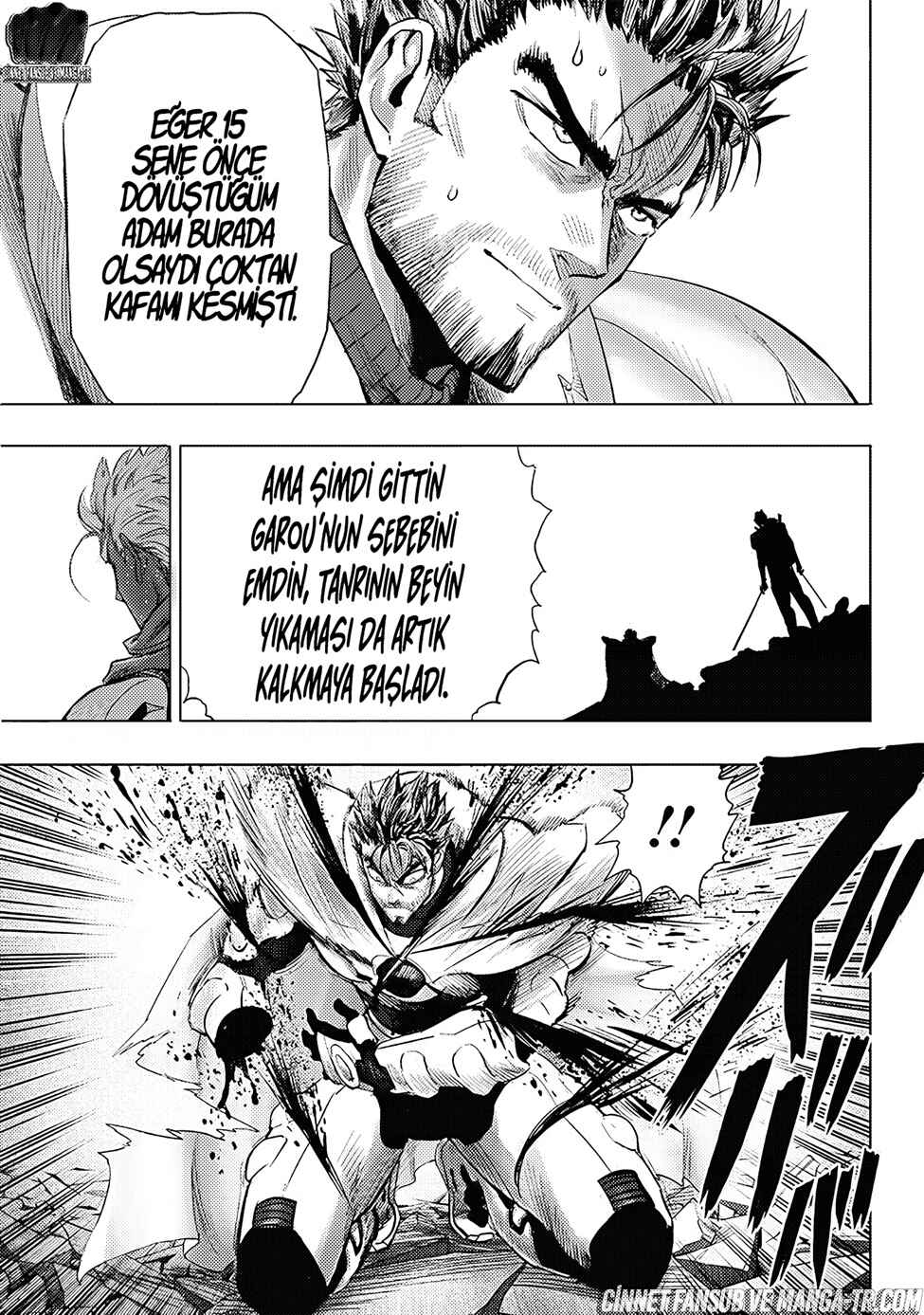 One Punch-Man Chapter 213 - Page 16