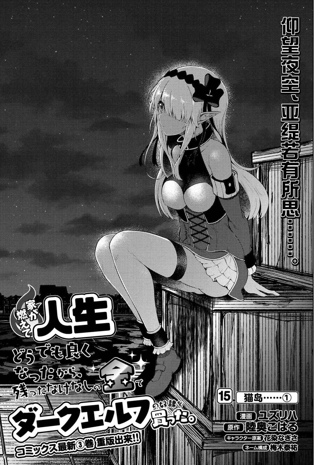 Ie ga Moete Jinsei dou demo Yoku Natta kara, Nokotta Nakenashi no Kane de Dark Elf no Dorei o Katta Chapter 15.1 - Page 3