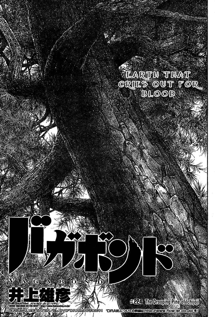Vagabond Chapter 224 - Page 2