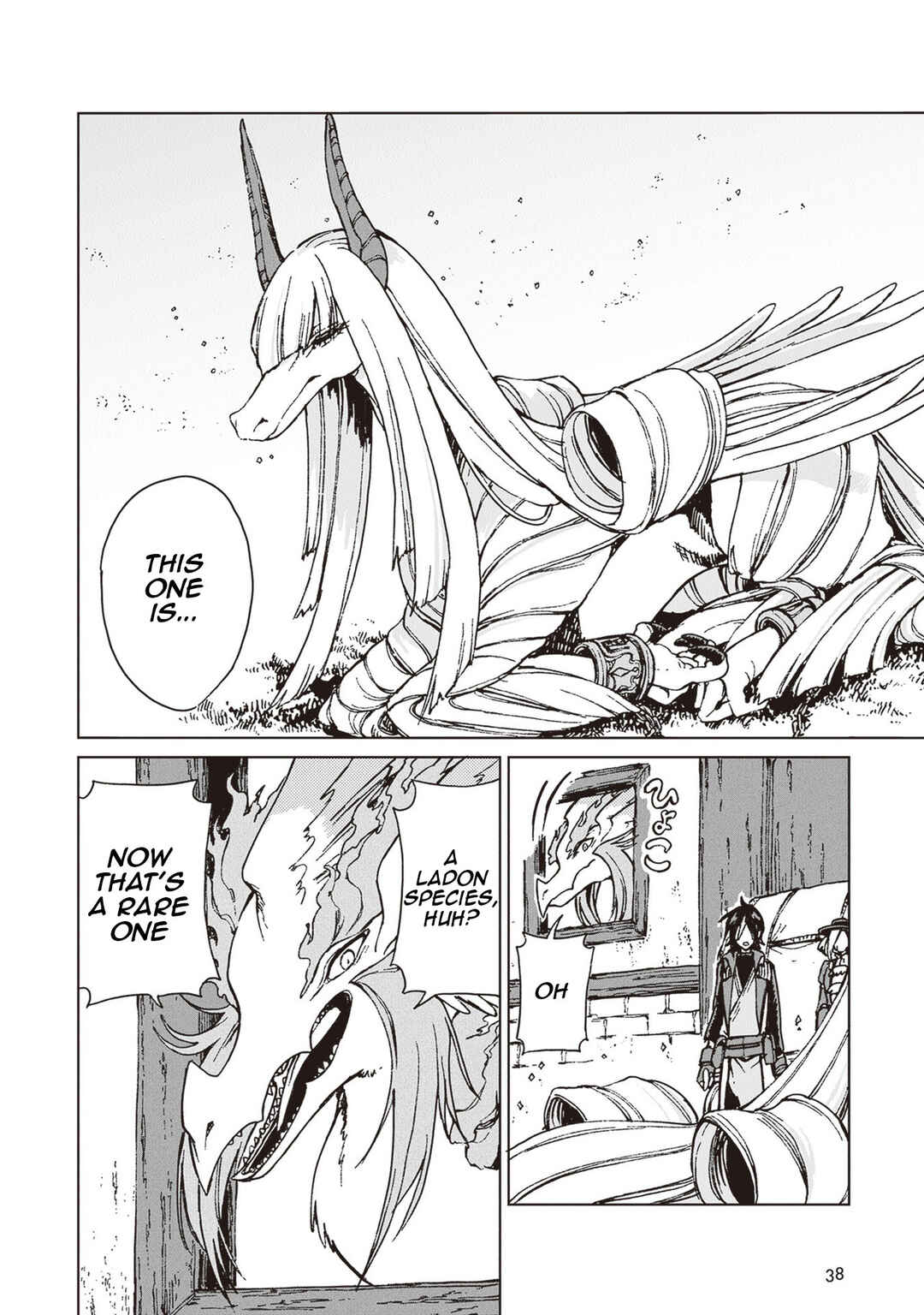 S-kyuu Guild wo Tsuihousareta kedo, Jitsu wa Ore dake Dragon no Kotoba ga Wakaru no de, Kidzuita Toki ni wa Ryuu Kishi no Chouten wo Kiwametemashita. Chapter 25 - Page 5