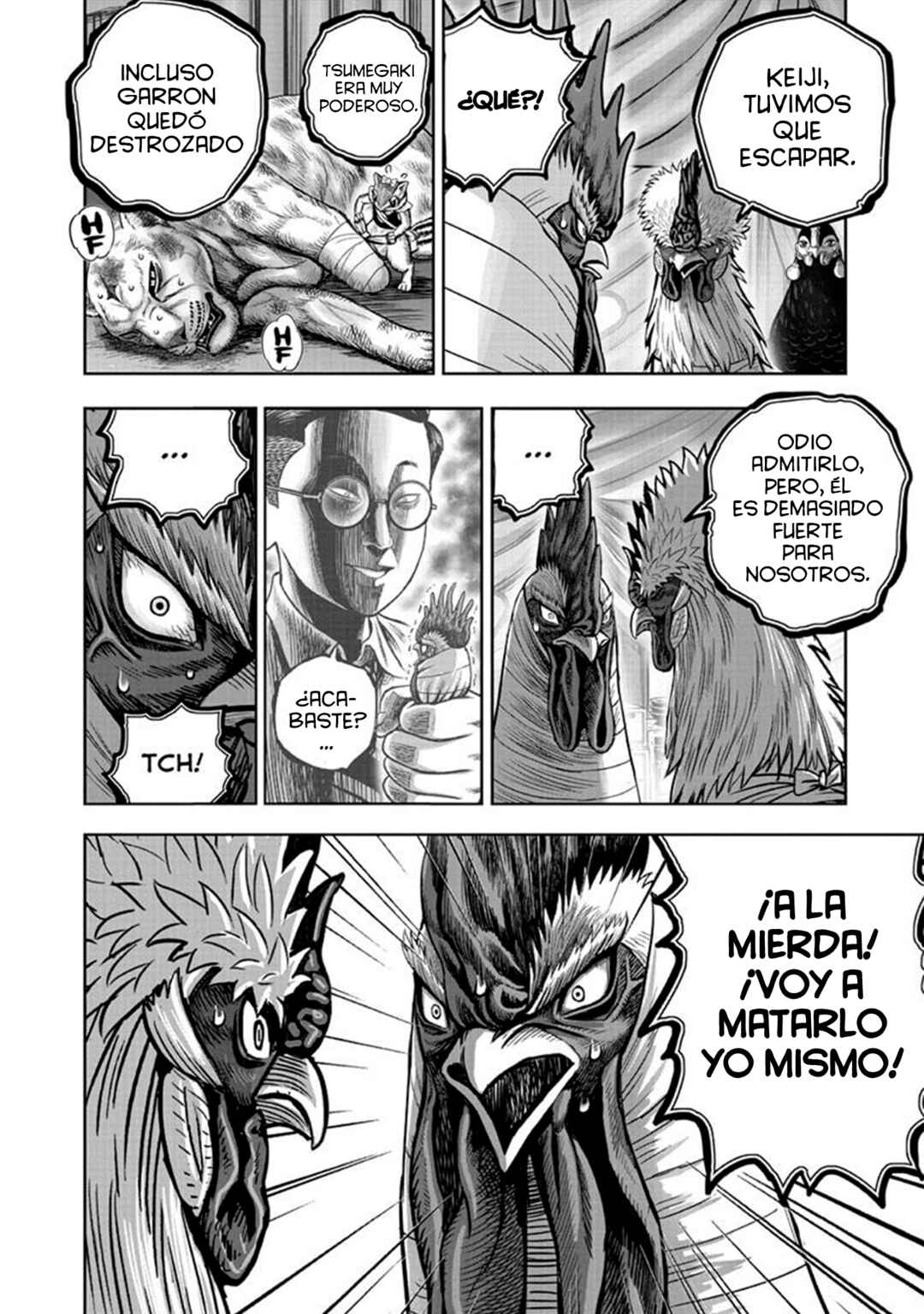 Niwatori Fighter Chapter 41 - Page 22