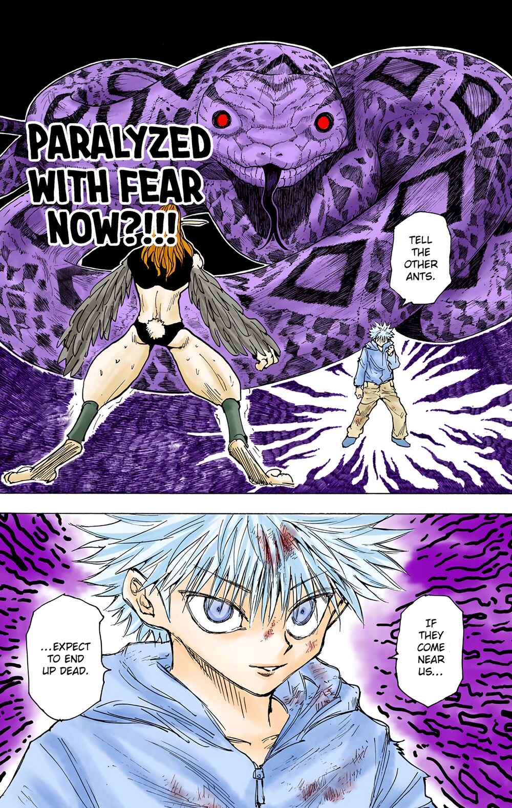 Hunter x Hunter (Official Colored) Chapter 219 - Page 13