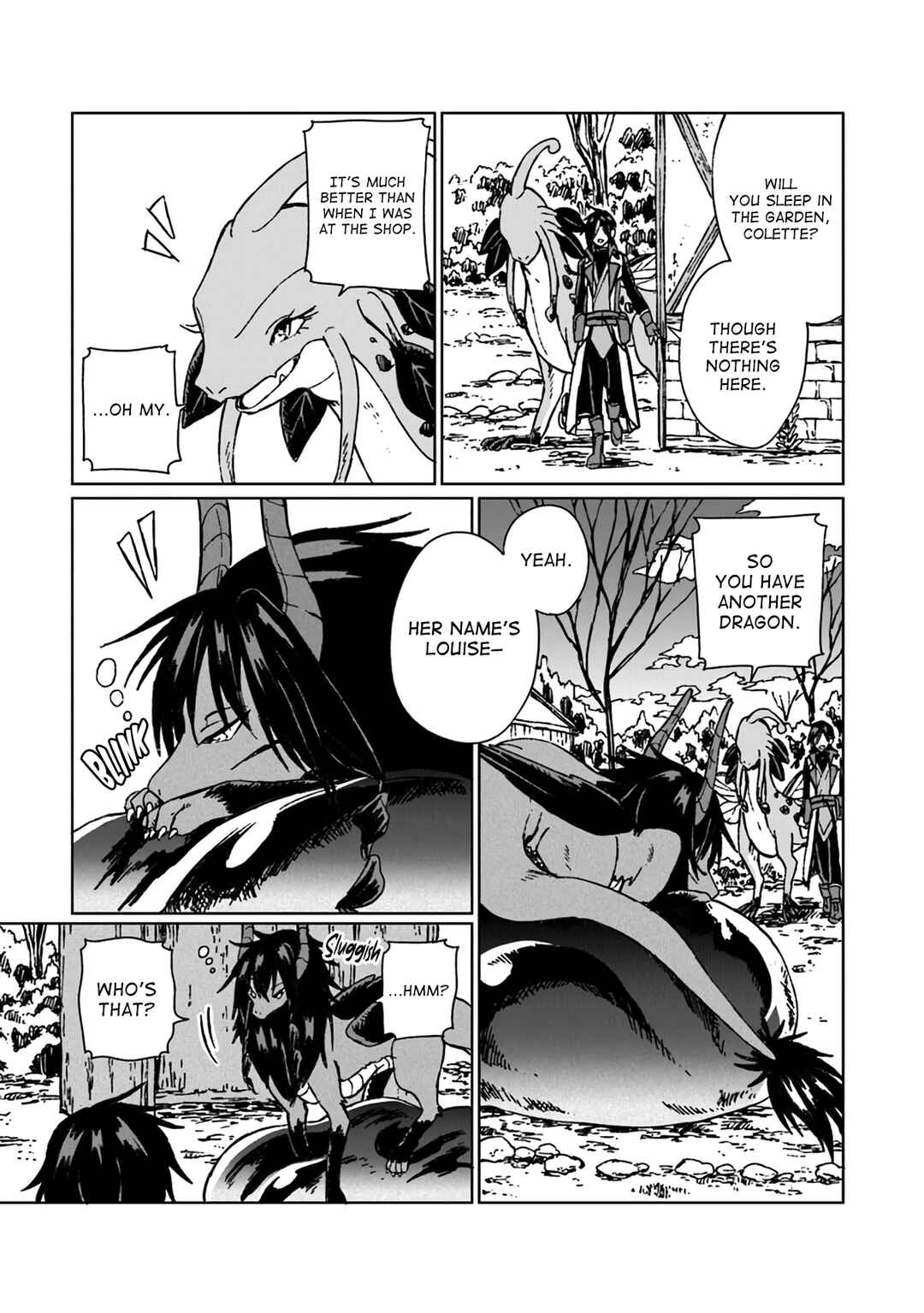 S-kyuu Guild wo Tsuihousareta kedo, Jitsu wa Ore dake Dragon no Kotoba ga Wakaru no de, Kidzuita Toki ni wa Ryuu Kishi no Chouten wo Kiwametemashita. Chapter 6 - Page 30