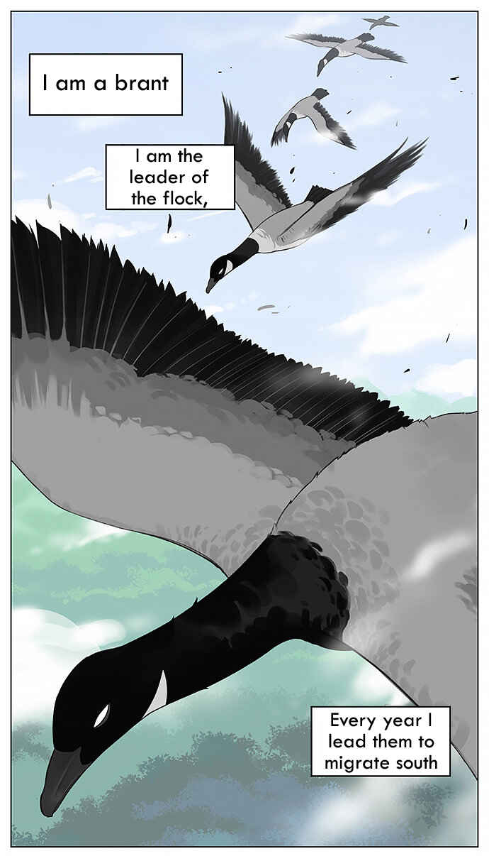Southern Bird and Northern Bird Chapter 16 - Page 1