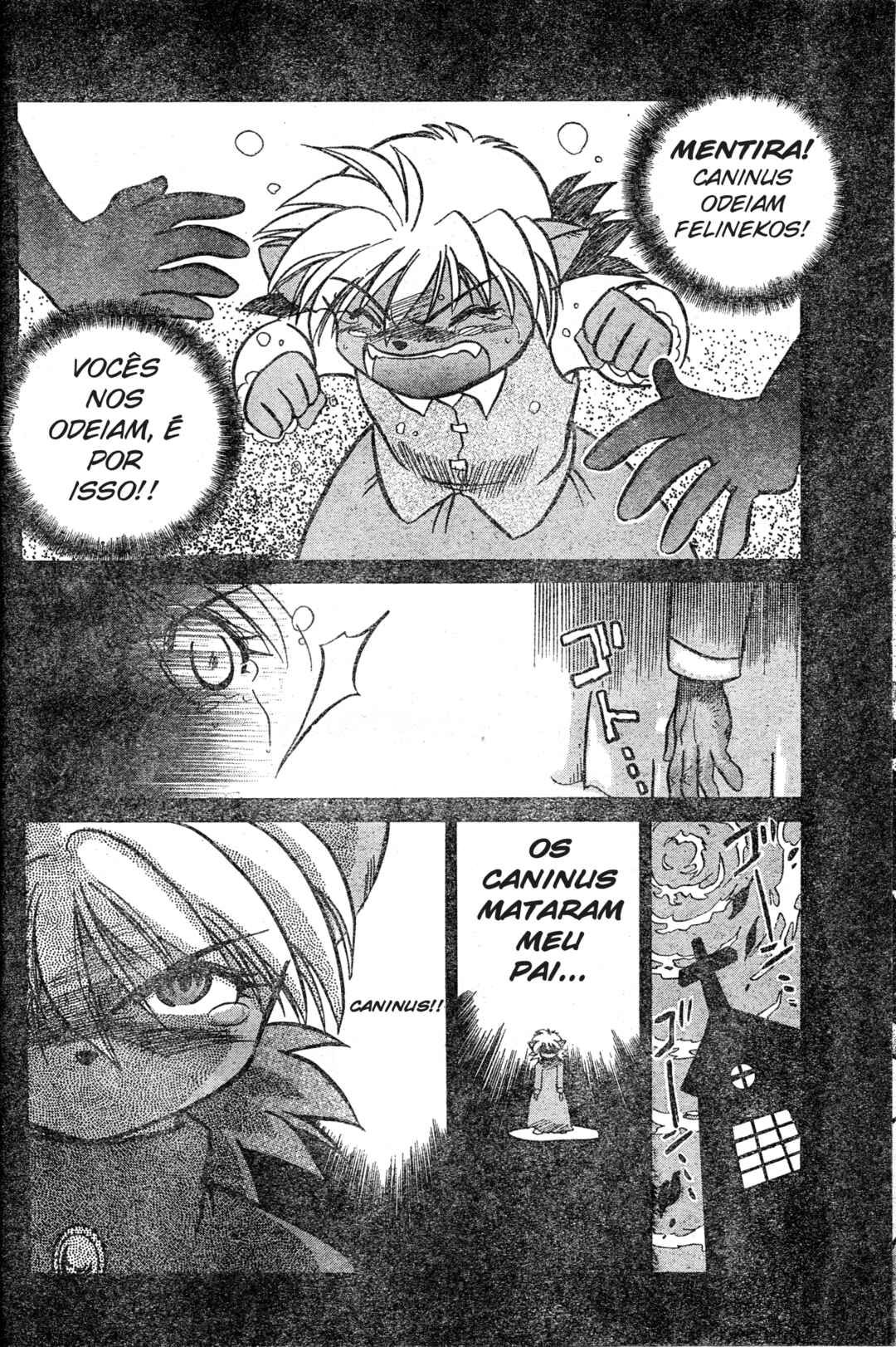 Tail Concerto Chapter ? - Page 41
