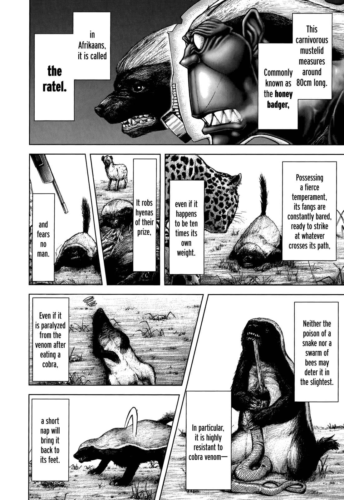 Terra Formars Chapter 104 - Page 13