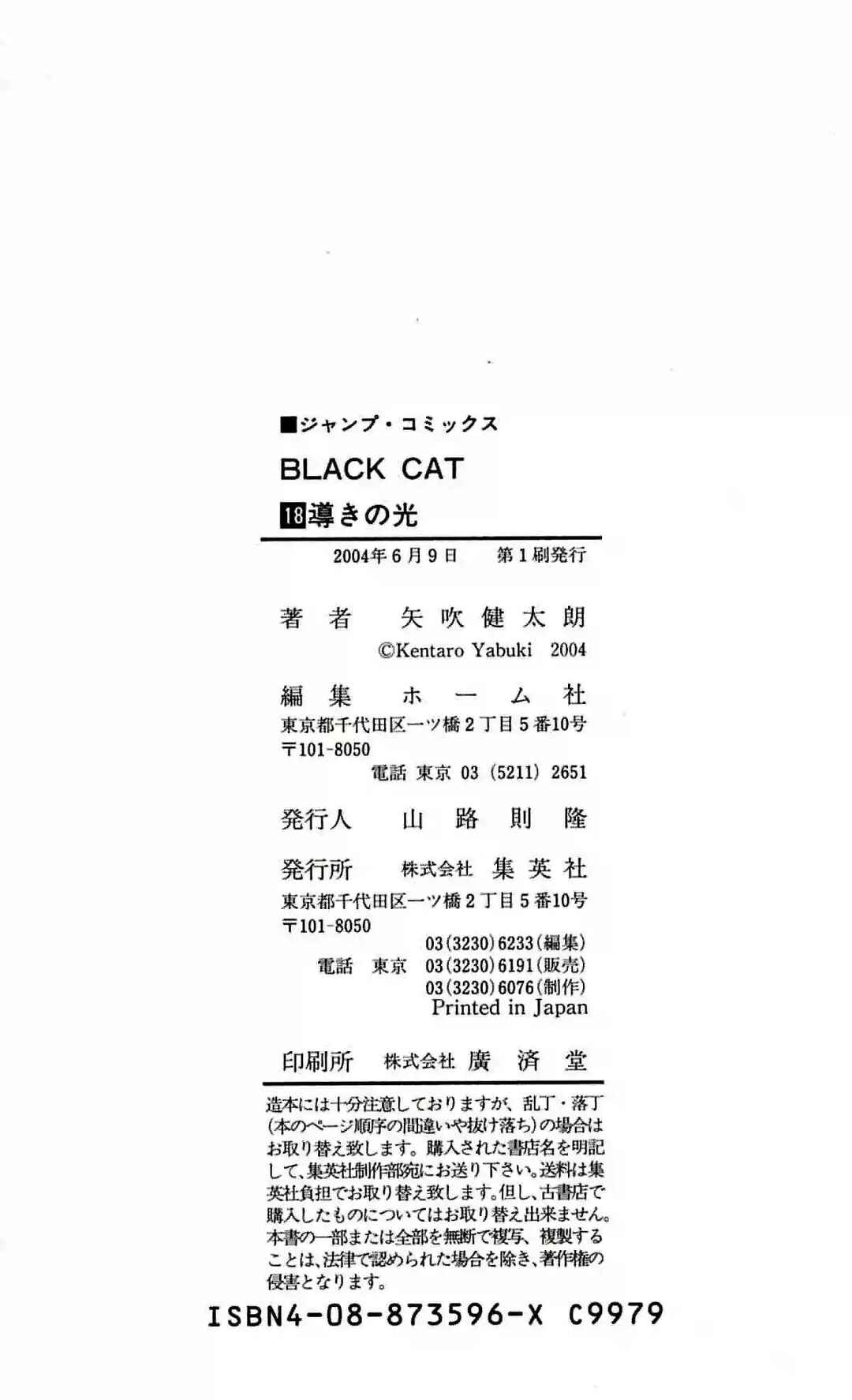 Black Cat Chapter 167 - Page 22