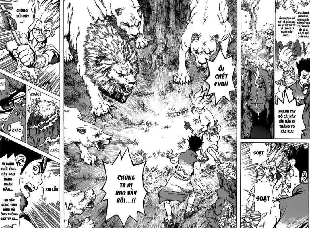 Dr.STONE Chapter 3 - Page 16