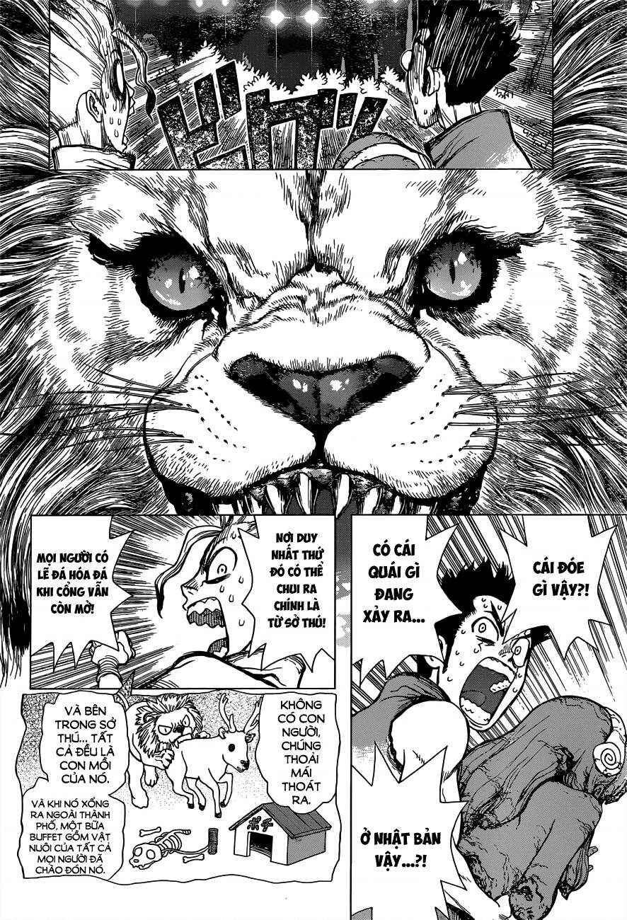 Dr.STONE Chapter 3 - Page 8