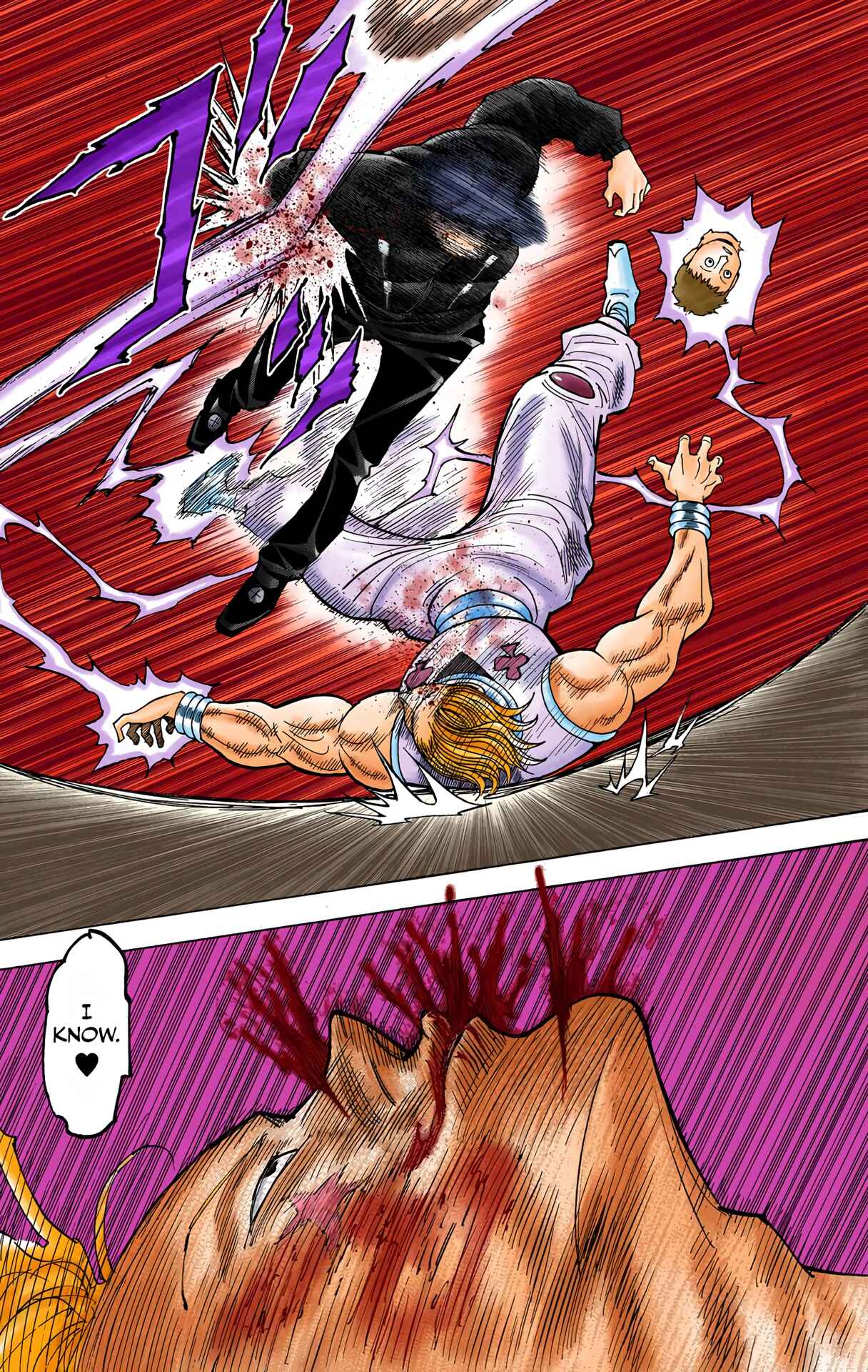 Hunter x Hunter (Official Colored) Chapter 353 - Page 19