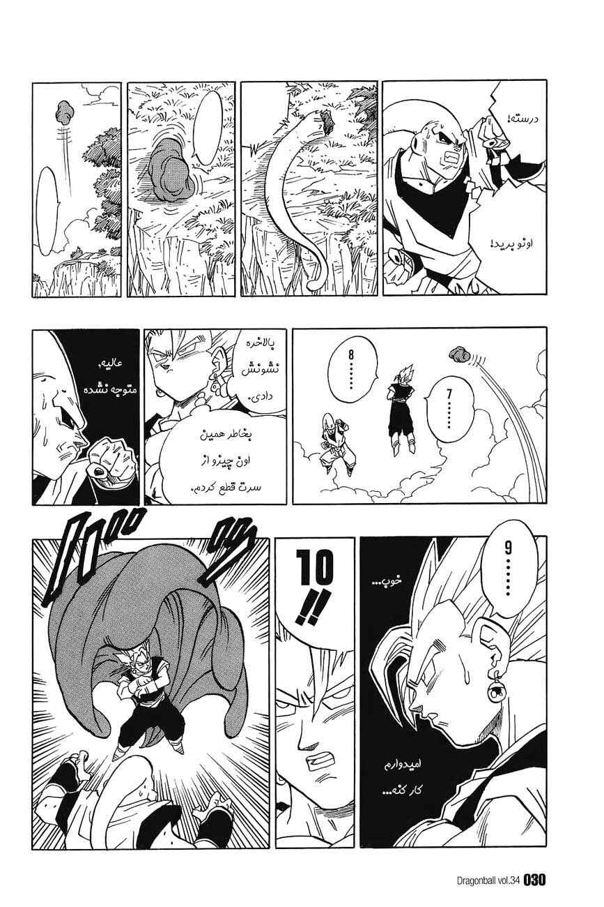 Dragon Ball Chapter 505 - Page 13