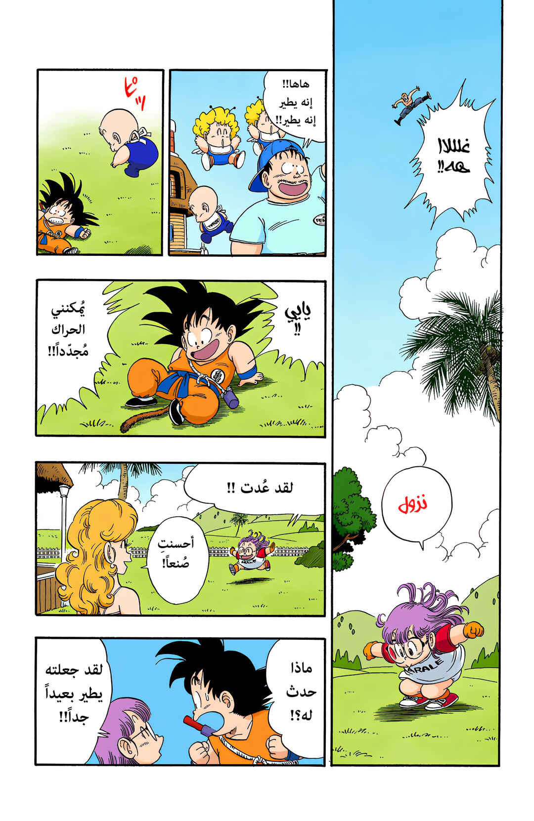 Dragon Ball (Official Colored) Chapter 83 - Page 11