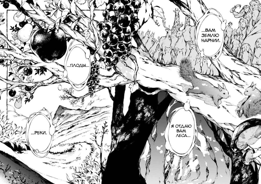 Narnia-koku Monogatari: Majutsushi no Oi Chapter 19 - Page 12