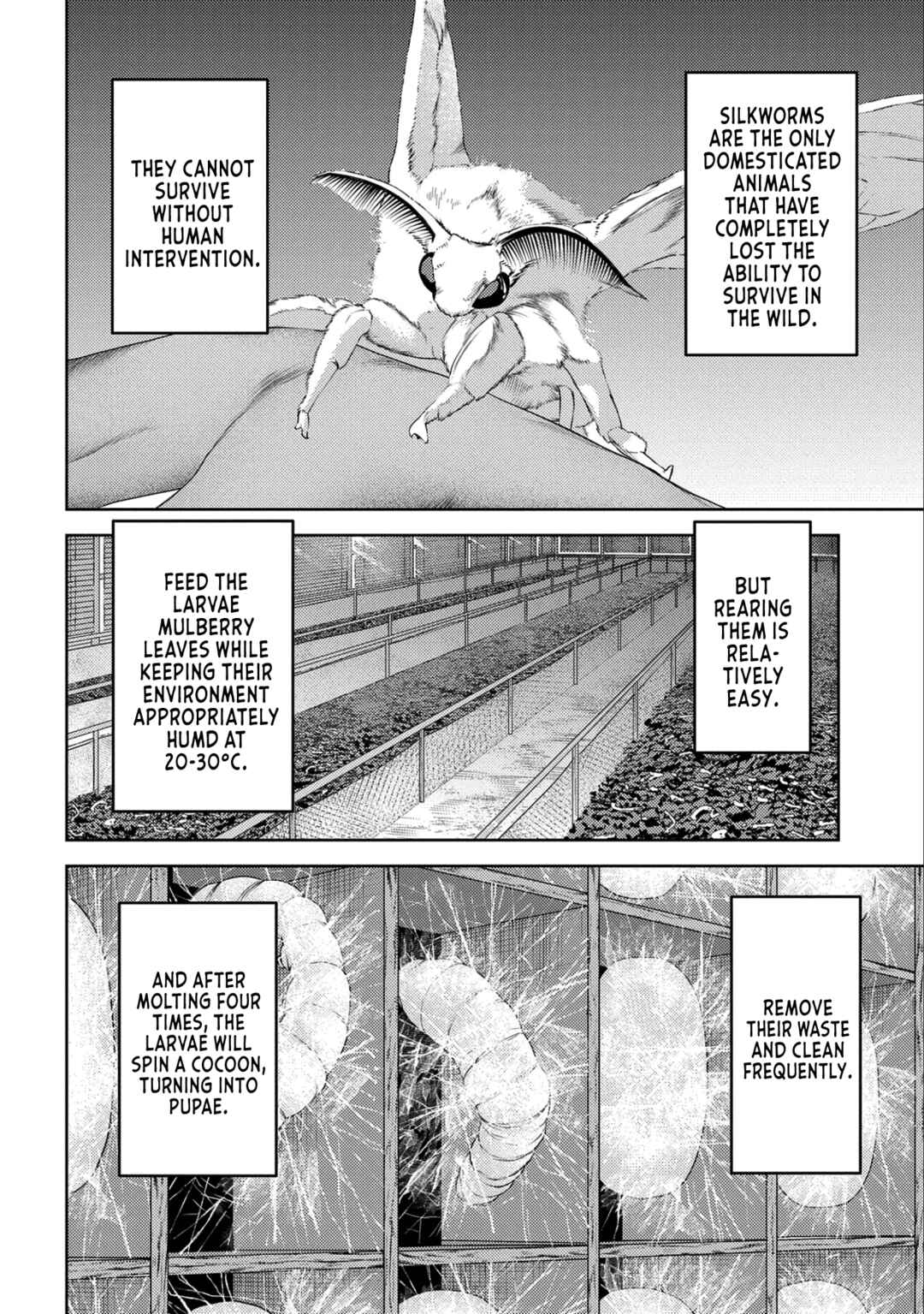 Sengoku Komachi Kuroutan Chapter 74 - Page 5