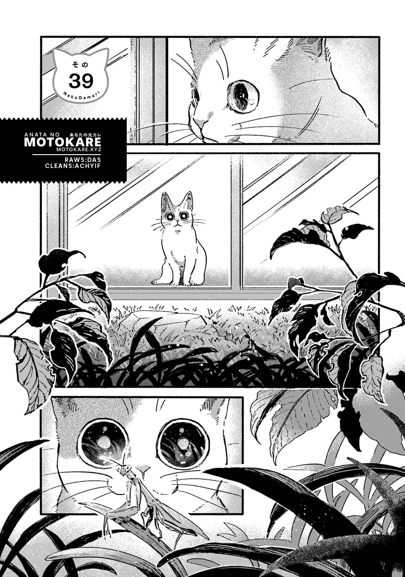 NekoDamari Chapter 39 - Page 1
