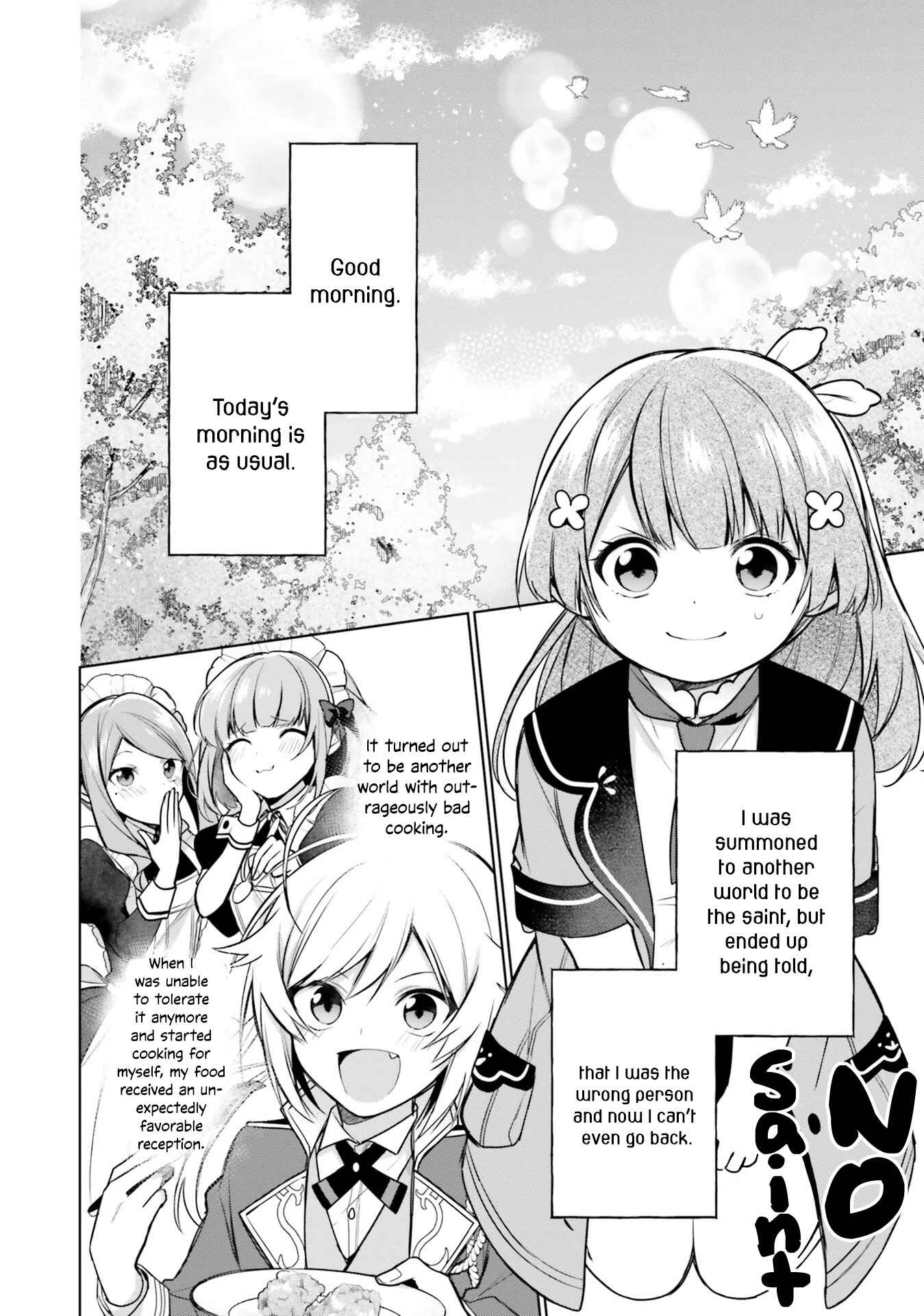 Seijo ja Nakatta node, Oukyuu de Nonbiri Gohan wo Tsukuru Koto ni Shimashita Chapter 9 - Page 2