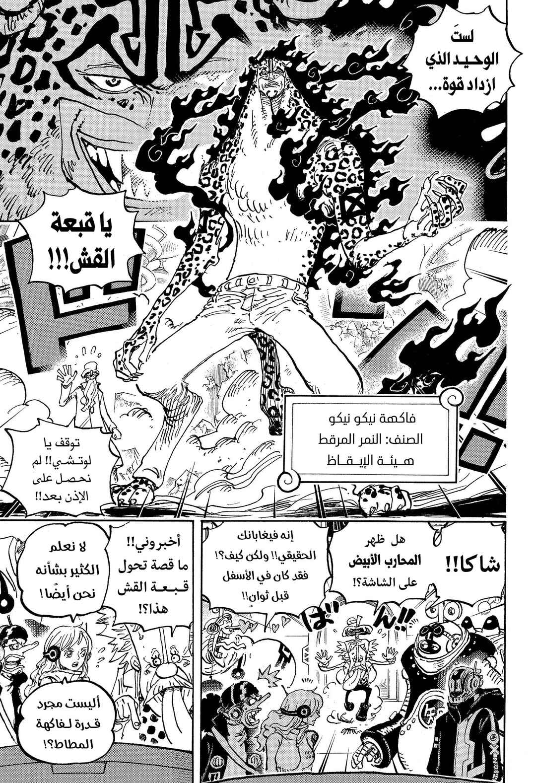 One Piece Chapter 1069 - Page 7