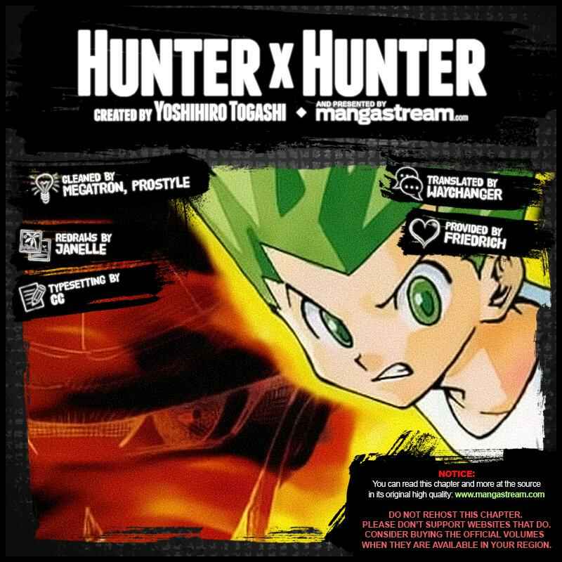 Hunter x Hunter Chapter 325 - Page 19