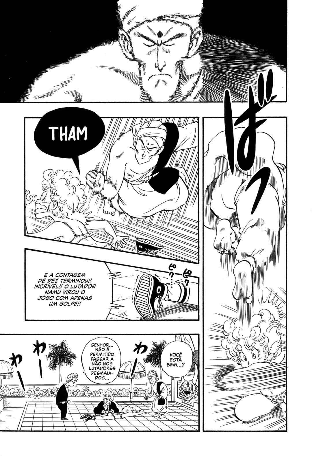 Dragon Ball Chapter 38 - Page 15