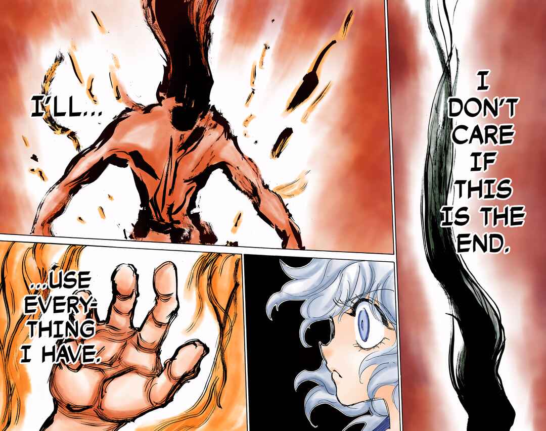 Hunter x Hunter (Official Colored) Chapter 305 - Page 14