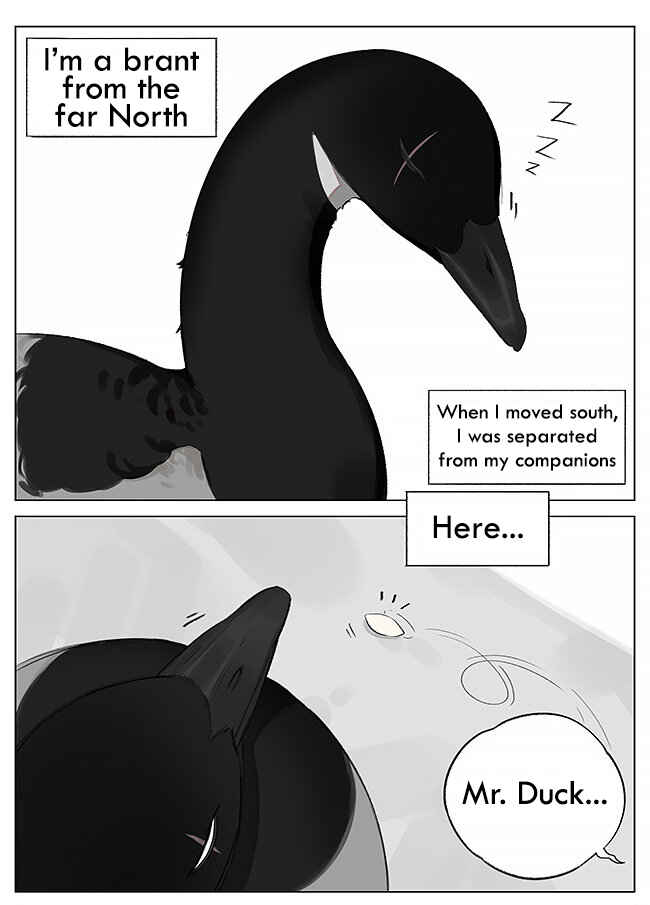 Southern Bird and Northern Bird Chapter 2 - Page 1