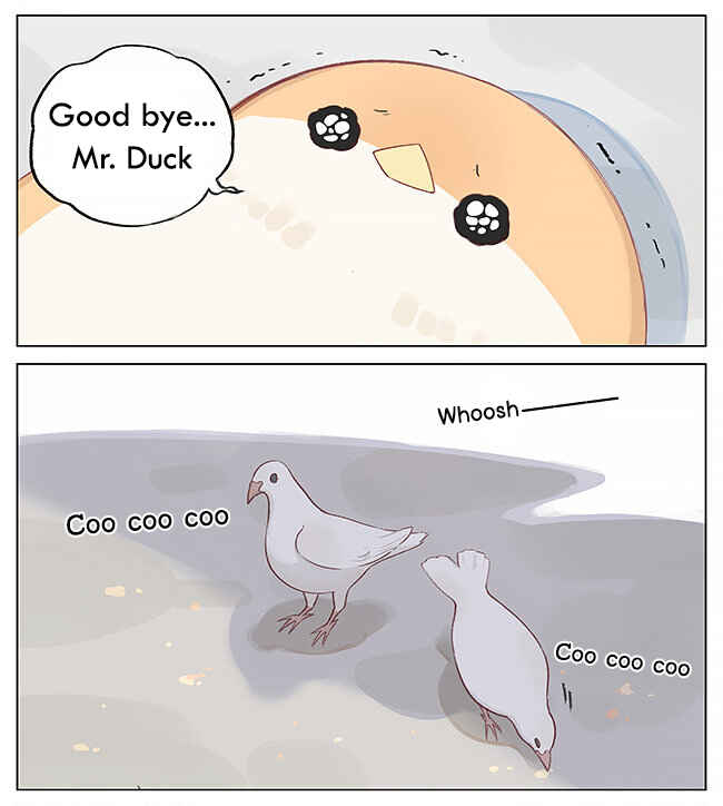 Southern Bird and Northern Bird Chapter 2 - Page 3