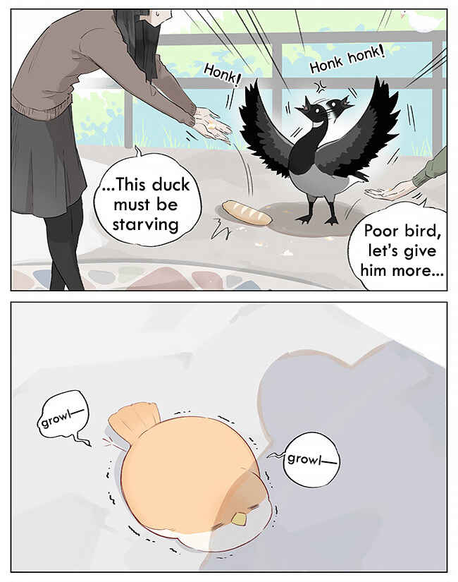 Southern Bird and Northern Bird Chapter 2 - Page 5