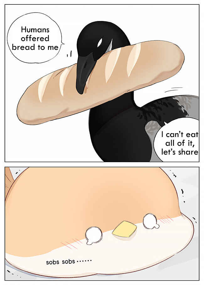 Southern Bird and Northern Bird Chapter 2 - Page 6