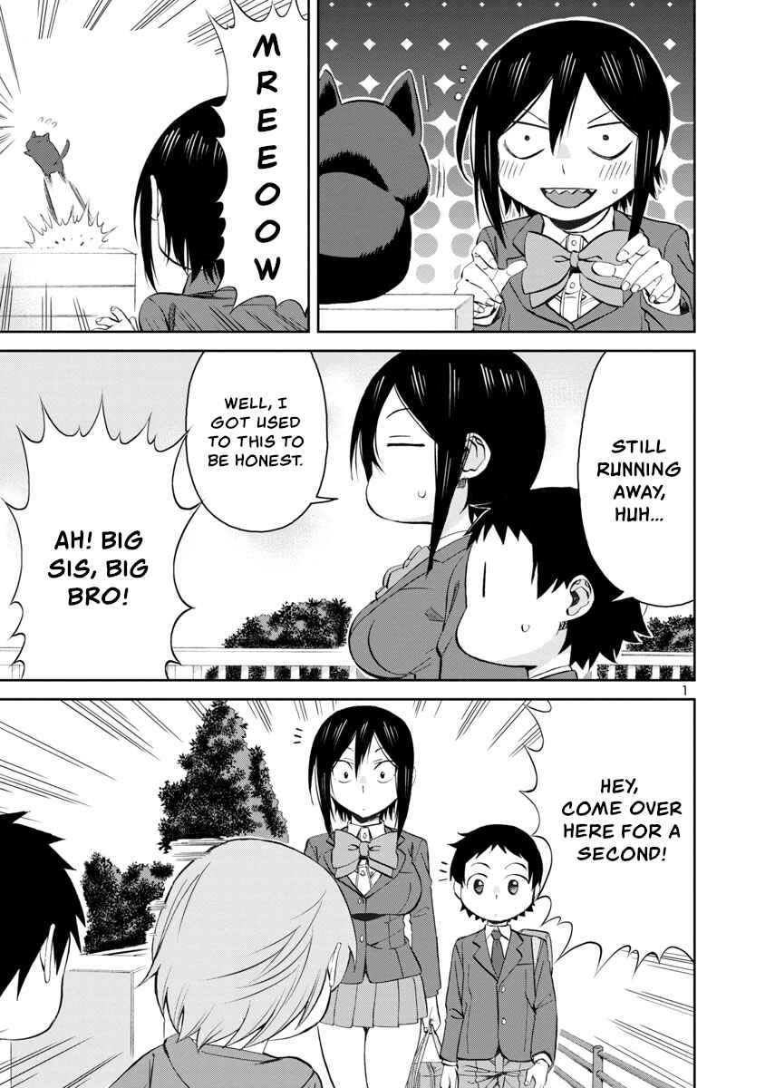 Hitomi-chan wa Hitomishiri Chapter 70 - Page 1