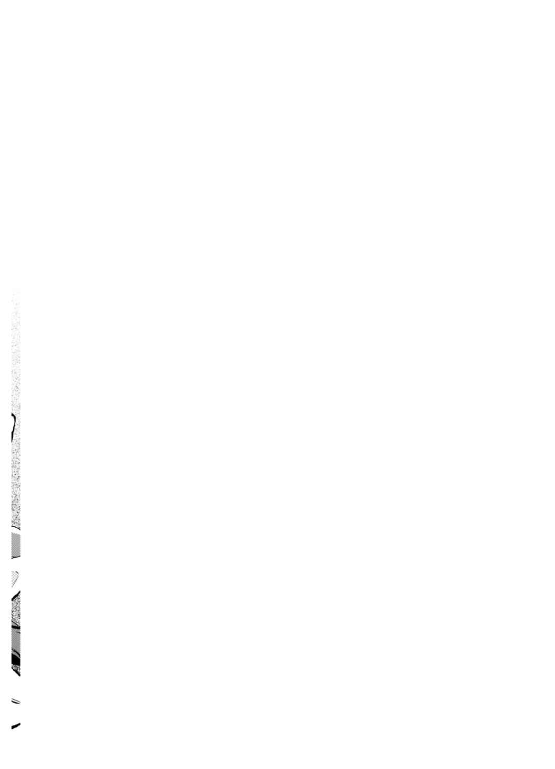 Narnia-koku Monogatari: Majutsushi no Oi Chapter 12 - Page 2