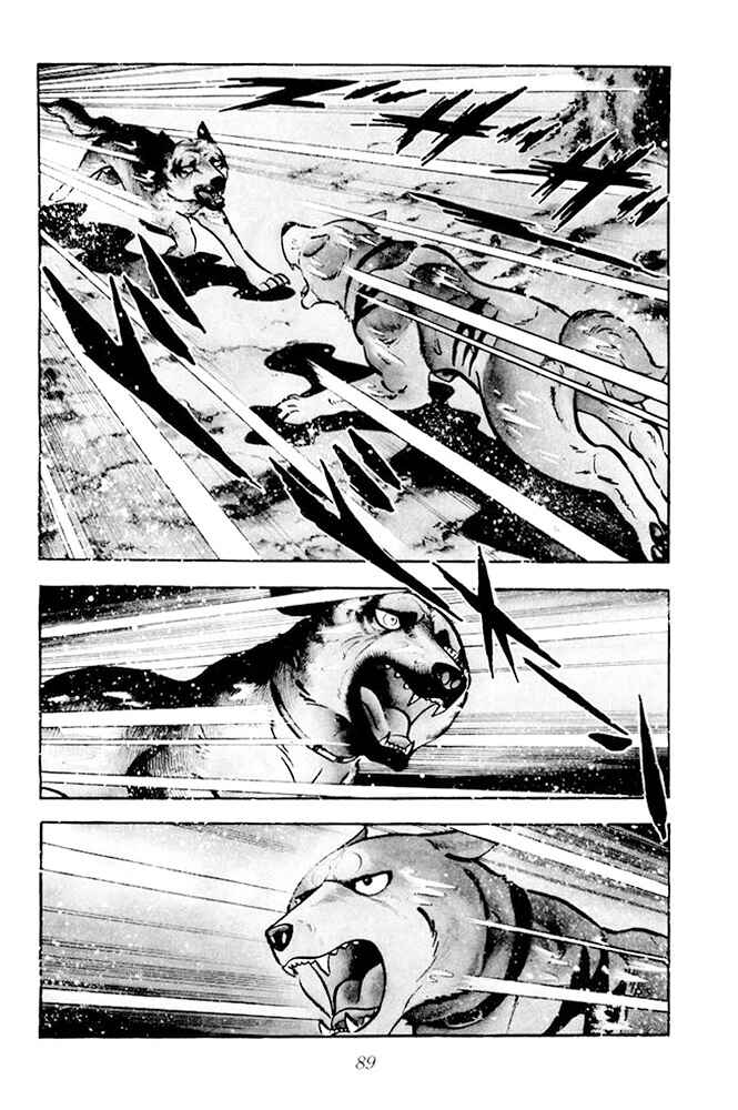 Silver Fang – The Shooting Star Gin – Chapter 16 - Page 3