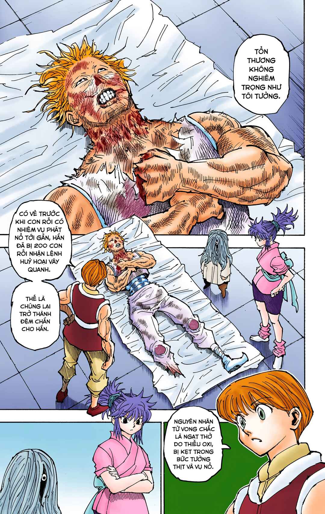 Hunter x Hunter (Official Colored) Chapter 357 - Page 3