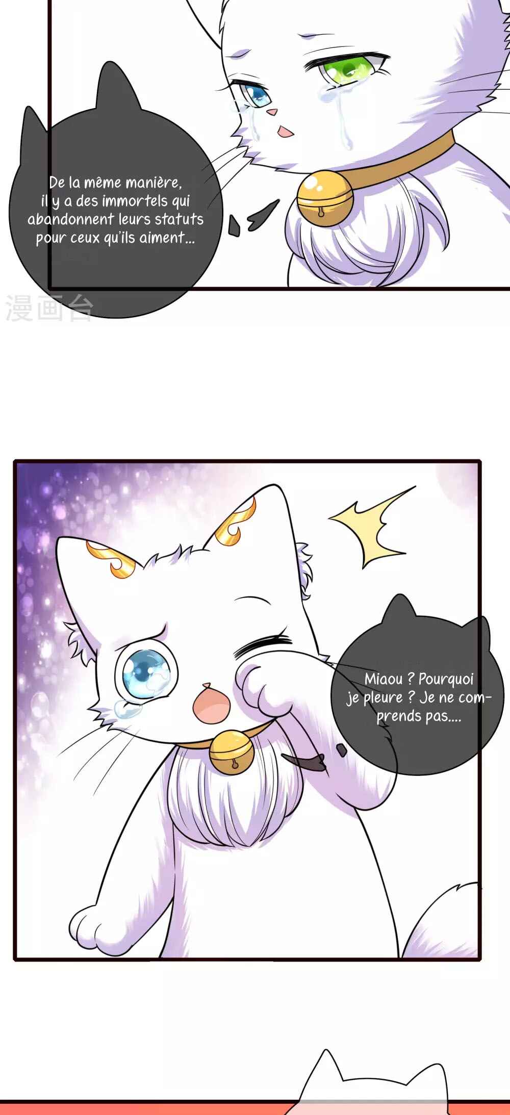 Cat System: The Emperor Is a Cat Lover Chapter 62 - Page 22